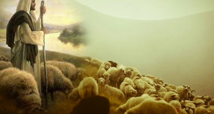 Gembala Berbau Domba