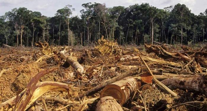 Para Uskup Regio Kalimatan: Mari Selamatkan Lingkungan!