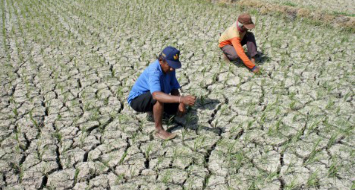 KMK Unima Gelar Seminar ‘Pertobatan Ekologi’