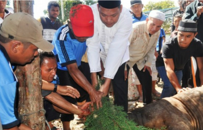 OMK di Ruteng Ambil Bagian dalam Perayaan Idul Adha