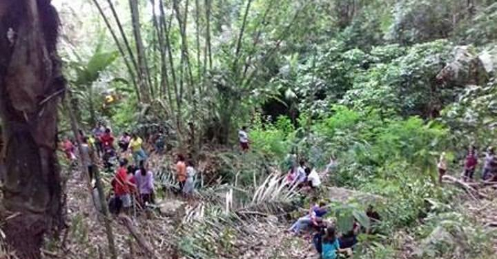 Tanam Pohon di Mata Air, Cara OMK di Keuskupan Maumere Menyambut Tahun Baru