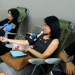 Tiga Bulan Sekali, Umat Paroki St Maria Fatima Sentul Donorkan Darah