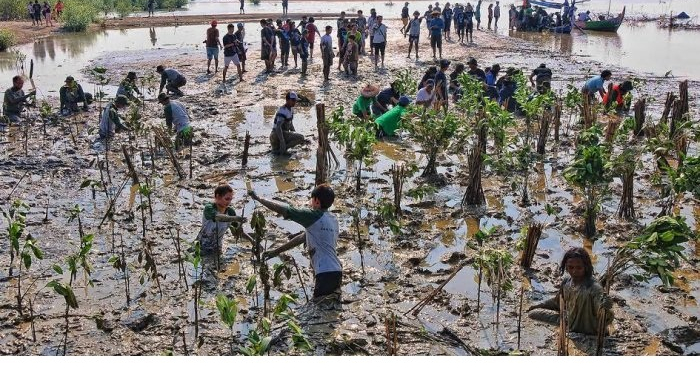 Kegiatan Bersama Menanam 10 Ribu Mangrove di Pantai Trimulyo Semarang