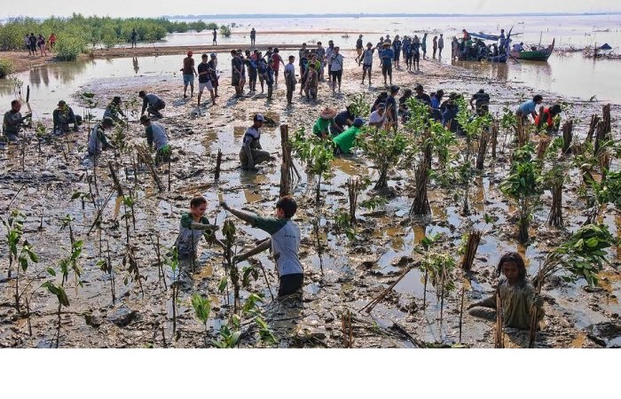 Kegiatan Bersama Menanam 10 Ribu Mangrove di Pantai Trimulyo Semarang