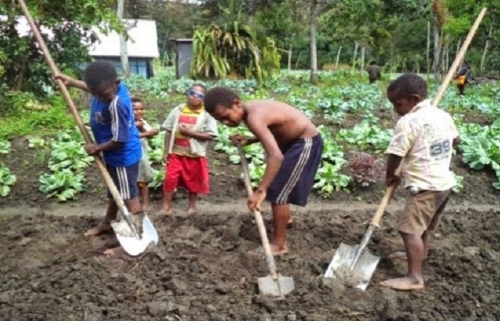 Uskup Timika: Lebih Baik Tidak Punya Uang, Daripada Tidak Punya Tanah