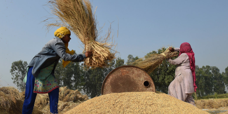 Para Uskup India Dukung Aksi Mogok Petani