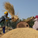 Para Uskup India Dukung Aksi Mogok Petani