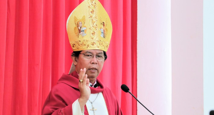 Mgr Nicolaus Adi Seputra MSC, Turun Tahta Pasca 15 Tahun