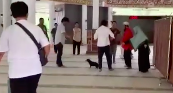 Setara Institute Persoalkan Pasal Penodaan Agama dalam Kasus Wanita yang Bawa Anjing ke Masjid