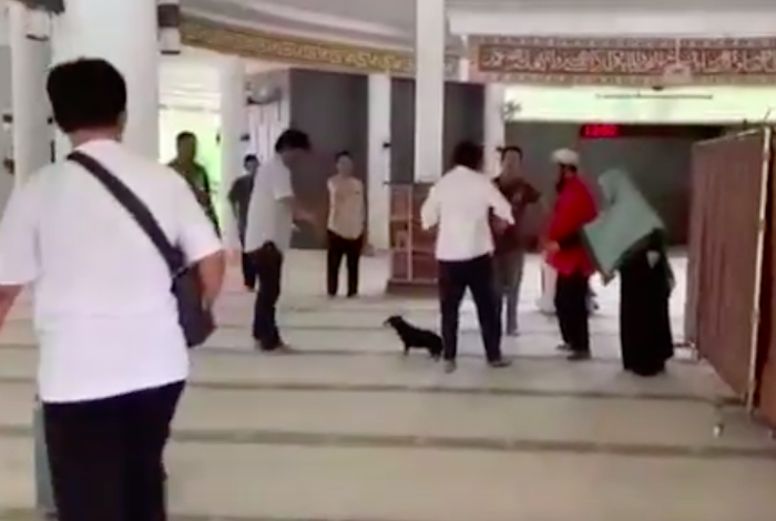 Setara Institute Persoalkan Pasal Penodaan Agama dalam Kasus Wanita yang Bawa Anjing ke Masjid