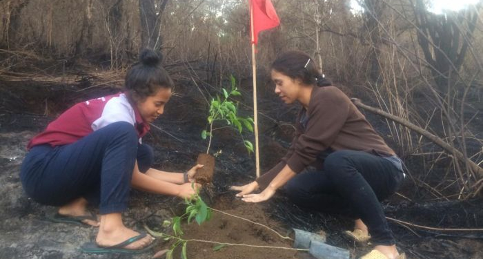 Tanam Pohon di Hutan yang Terbakar, Cara PMKRI Ruteng Sambut Peringatan Sumpah Pemuda