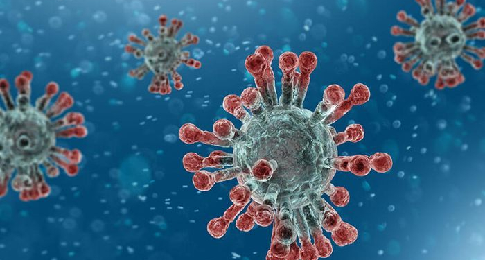 Gereja di Papua Diminta untuk Bantu Sosialisasi Pencegahan Covid-19