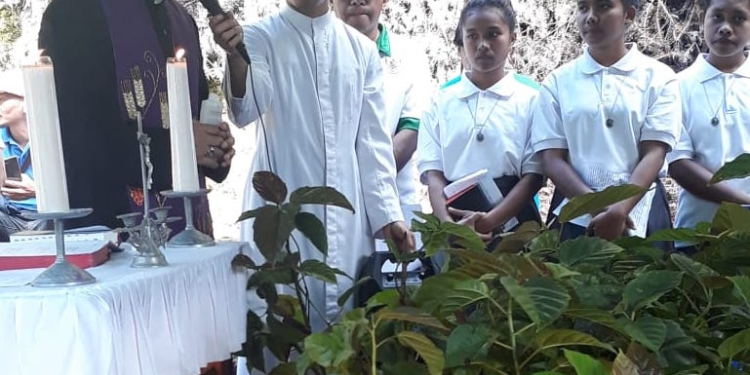 Jelang Tahbisan, Uskup Sipri Pimpin Penanaman 2.000 Pohon