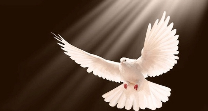 Ini Teks Misa Hari Raya Pentekosta, 31 Mei 2020