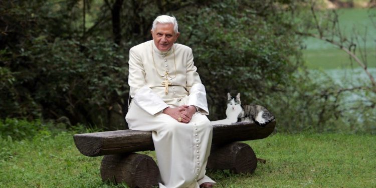 Sisi Lain: “Kisah Cinta” Paus Benediktus XVI dengan Kucing-Kucingnya