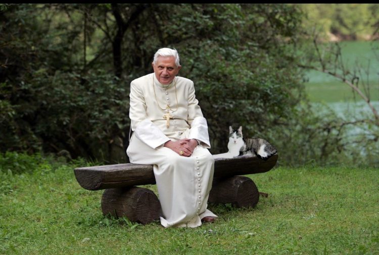 Sisi Lain: “Kisah Cinta” Paus Benediktus XVI dengan Kucing-Kucingnya